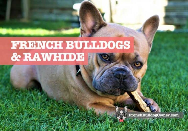 French Bulldogs & Rawhide Bone Safety, Digestion, Dangers